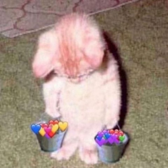 Meet your Posher, Tyler - Picture 1 of 1